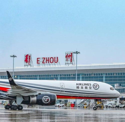 2023經濟觀察⑥丨高端 服務員 賦能 湖北智造