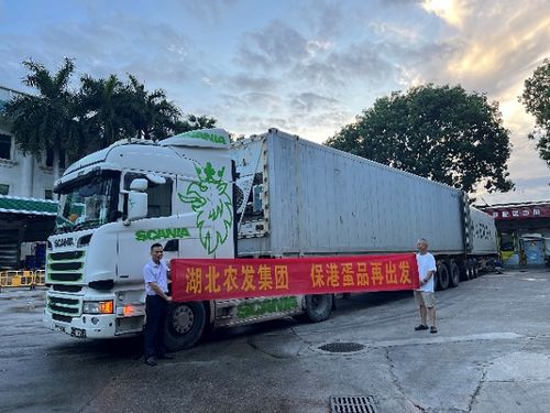 湖北農(nóng)發(fā)集團主動融入 雙循環(huán) 助力農(nóng)產(chǎn)品供應(yīng)鏈安全穩(wěn)定